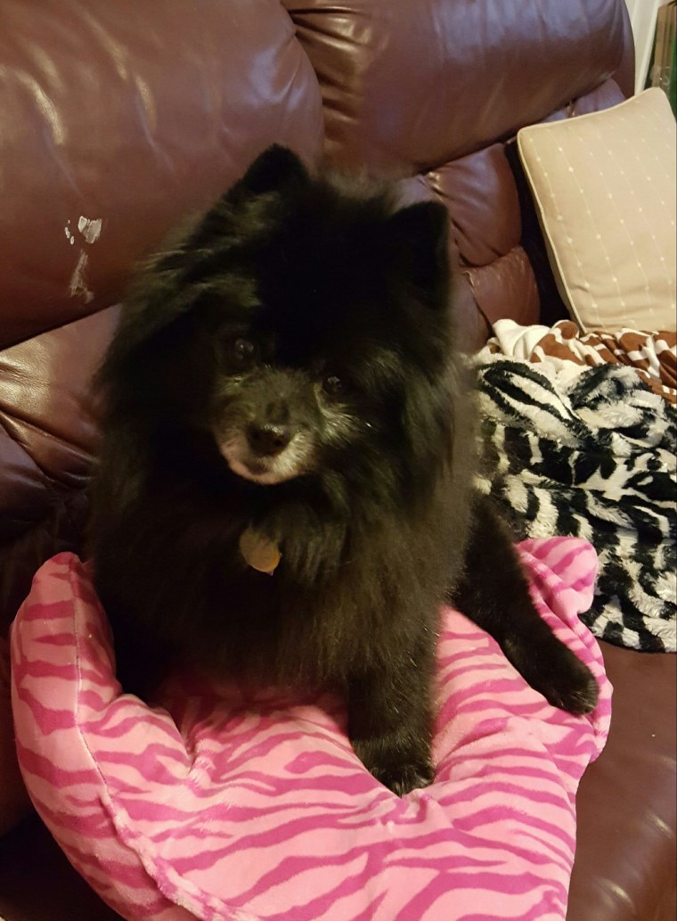 20160316_181958.jpg image